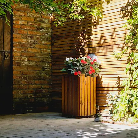 Pini - Przytulne W Centrum Krakowa